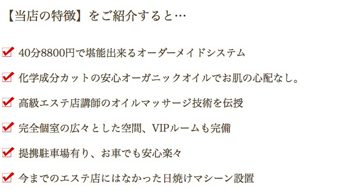 大阪洗体通信 俺のエステの特徴